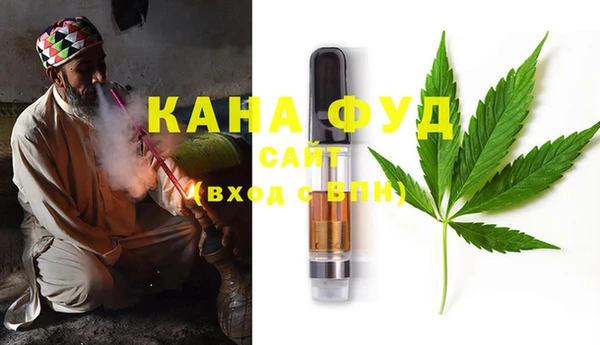 шишки Мегион