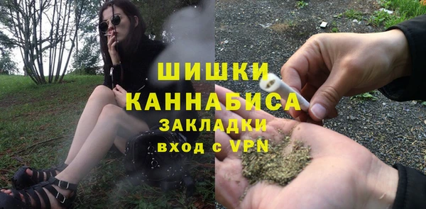 прущие грибы Михайловск