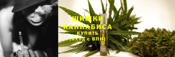 СК Михайлов