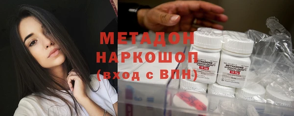 прущие грибы Михайловск