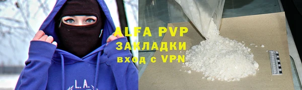 прущие грибы Ахтубинск