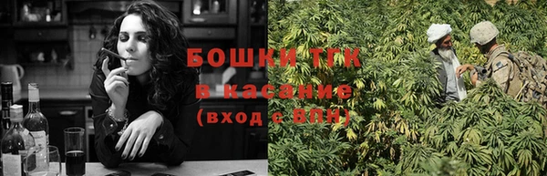прущие грибы Михайловск