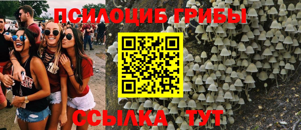 Псилоцибиновые грибы Magic Shrooms Новоуральск